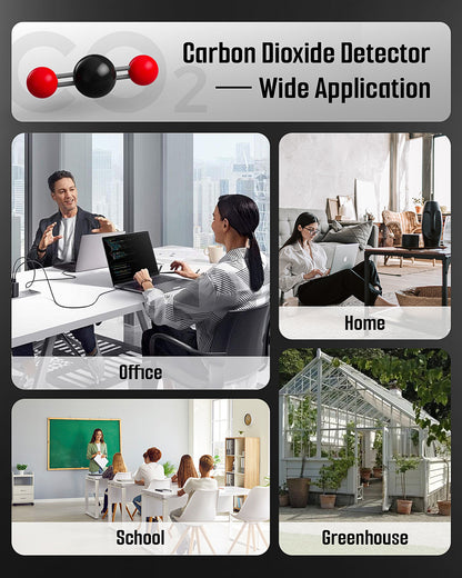 DS-100PRO Portable CO & CO2 Detector