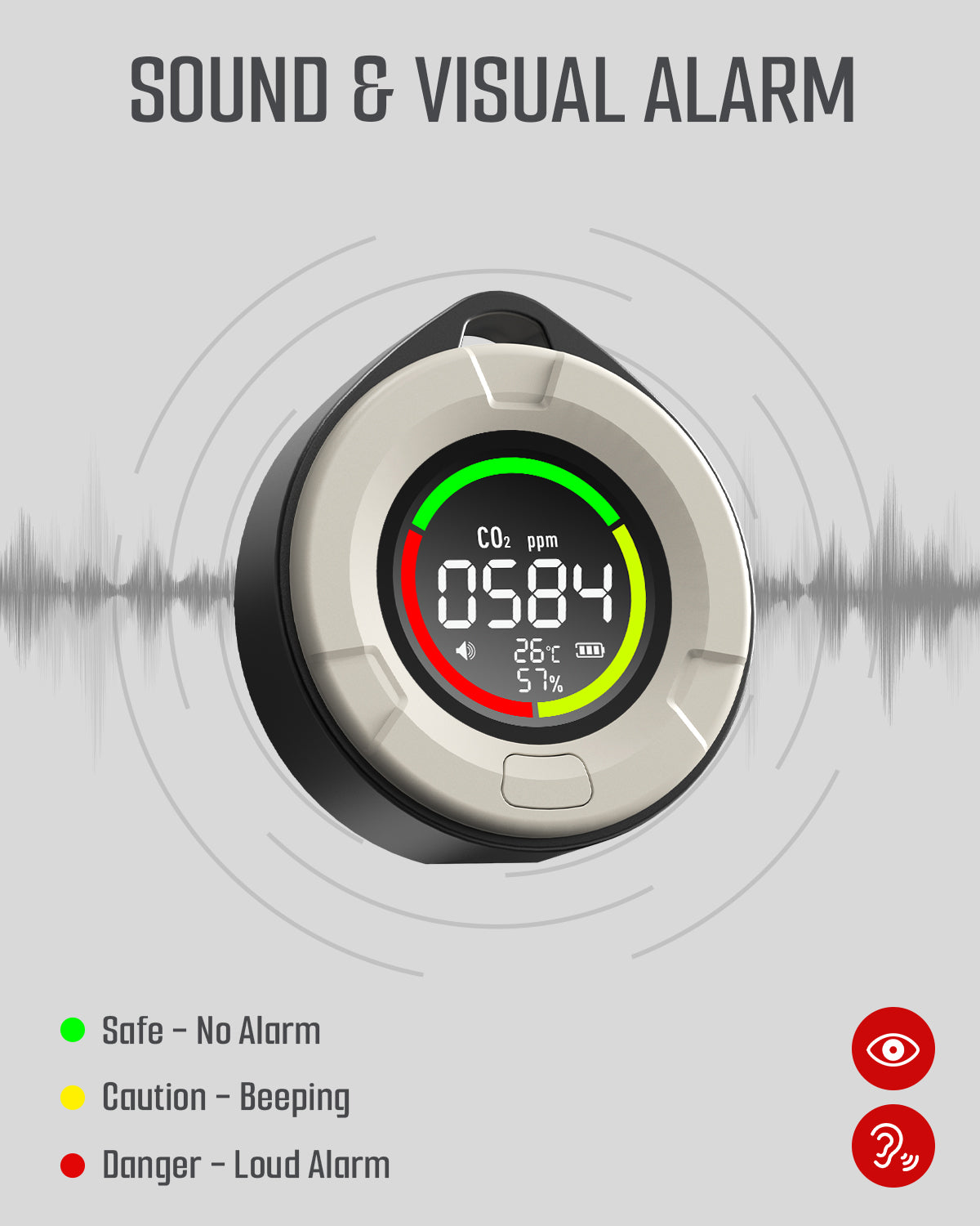 DS-100PRO Portable CO & CO2 Detector