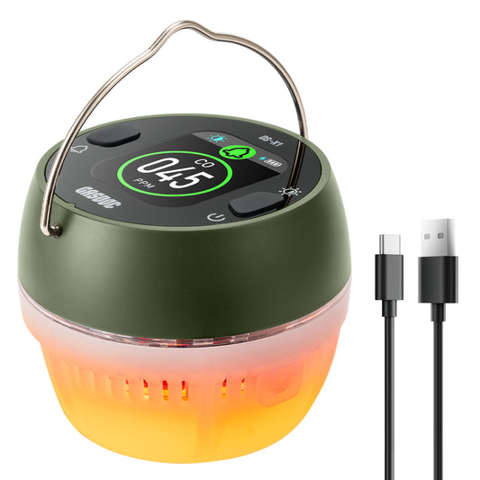 DS-X1 Portable Carbon Monoxide Detector
