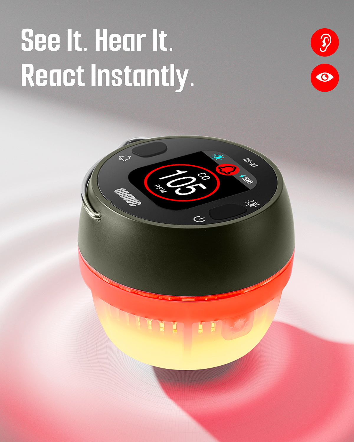 DS-X1 Portable Carbon Monoxide Detector