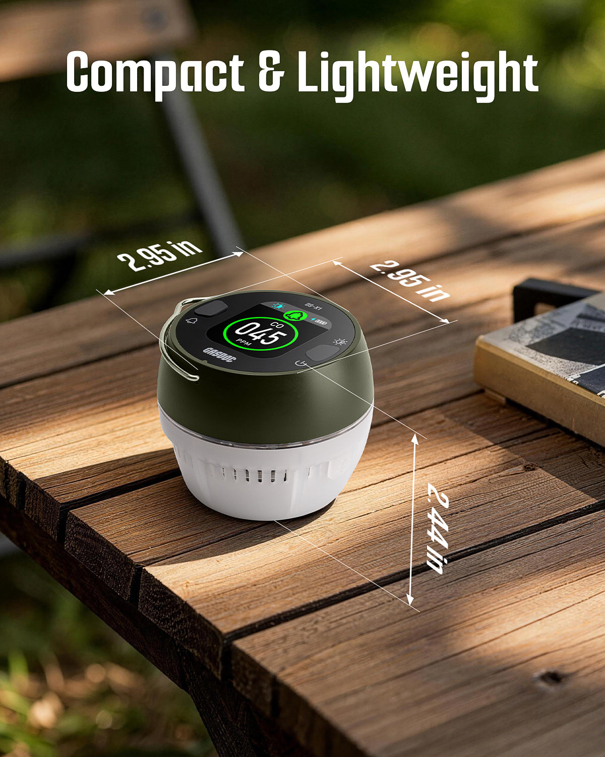 DS-X1 Portable Carbon Monoxide Detector